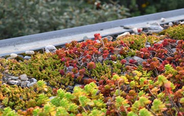 the cost of Little Creaton green roof installation