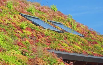Little Creaton living roof systems