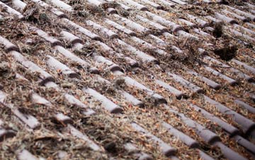 Little Creaton roof cleaning companies